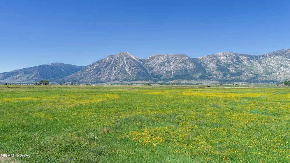 1225 Highway 88, Gardnerville, Nevada 89460, ,Land,Residential,Highway 88,0,260008175