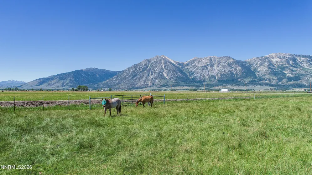 1225 Highway 88, Gardnerville, Nevada 89460, ,Land,Residential,Highway 88,0,260008175