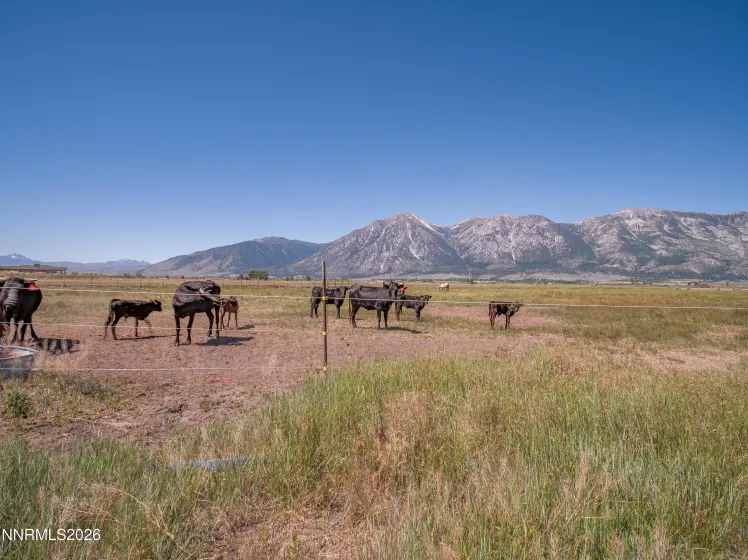 1225 Highway 88, Gardnerville, Nevada 89460, ,Land,Residential,Highway 88,0,260008175