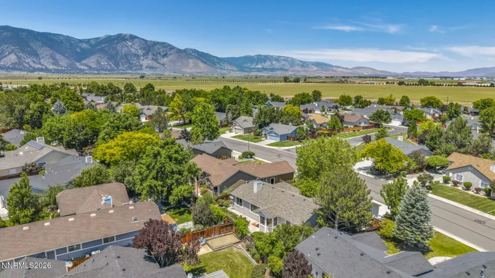 1800 Bougainvillea, Minden, Nevada 89423, 3 Bedrooms Bedrooms, ,2 BathroomsBathrooms,Residential,Residential,Bougainvillea,0,260008200