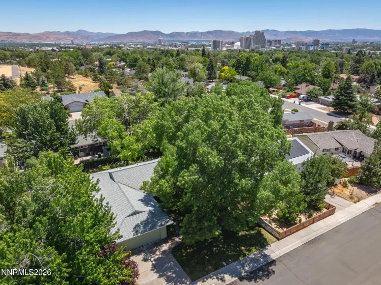 1310 Earl, Reno, Nevada 89503, 3 Bedrooms Bedrooms, ,2 BathroomsBathrooms,Residential,Residential,Earl,0,260008225