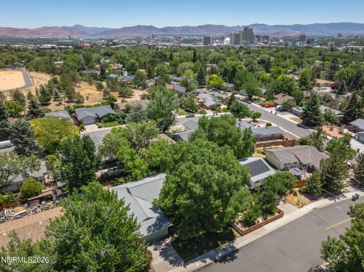 1310 Earl, Reno, Nevada 89503, 3 Bedrooms Bedrooms, ,2 BathroomsBathrooms,Residential,Residential,Earl,0,260008225