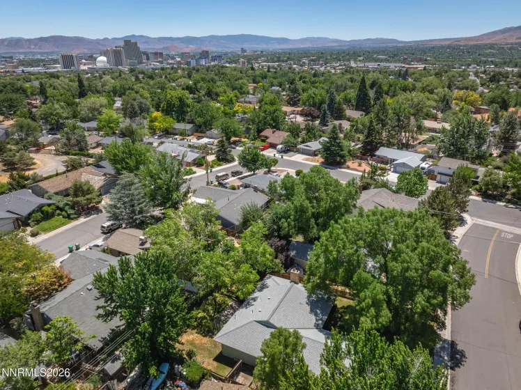 1310 Earl, Reno, Nevada 89503, 3 Bedrooms Bedrooms, ,2 BathroomsBathrooms,Residential,Residential,Earl,0,260008225