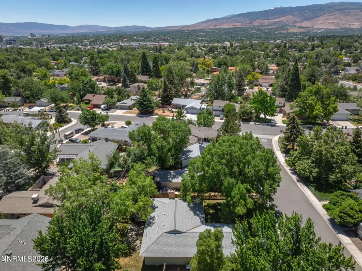 1310 Earl, Reno, Nevada 89503, 3 Bedrooms Bedrooms, ,2 BathroomsBathrooms,Residential,Residential,Earl,0,260008225