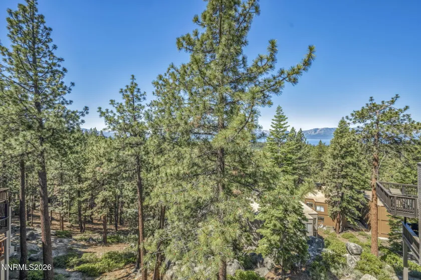 155 Holly, Stateline, Nevada 89449, 3 Bedrooms Bedrooms, ,4 BathroomsBathrooms,Residential,Residential,Holly,0,260008227