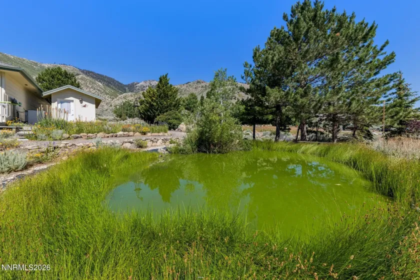 295 Nevada, Markleeville, California 96120, 3 Bedrooms Bedrooms, ,3 BathroomsBathrooms,Residential,Residential,Nevada,0,260008263