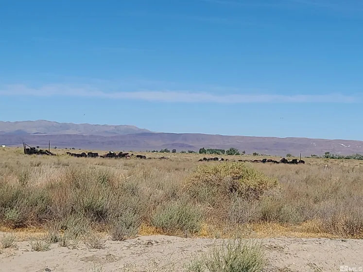 750 Sage, Fallon, Nevada 89406, ,Land,Residential,Sage,0,240009432