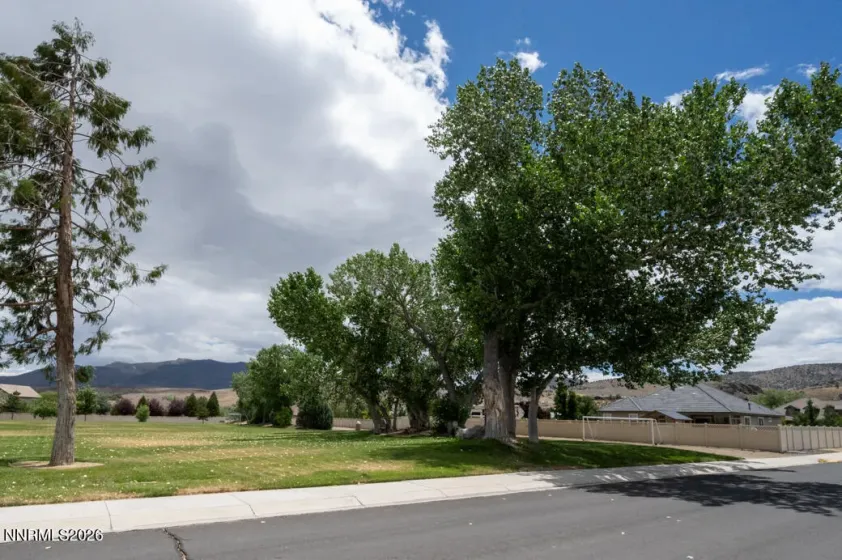 Community Park
