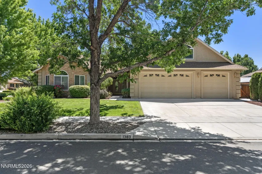 1383 Branden, Gardnerville, Nevada 89410, 4 Bedrooms Bedrooms, ,4 BathroomsBathrooms,Residential,Residential,Branden,0,260008301