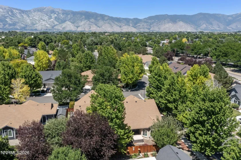 1383 Branden, Gardnerville, Nevada 89410, 4 Bedrooms Bedrooms, ,4 BathroomsBathrooms,Residential,Residential,Branden,0,260008301