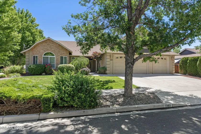 1383 Branden, Gardnerville, Nevada 89410, 4 Bedrooms Bedrooms, ,4 BathroomsBathrooms,Residential,Residential,Branden,0,260008301