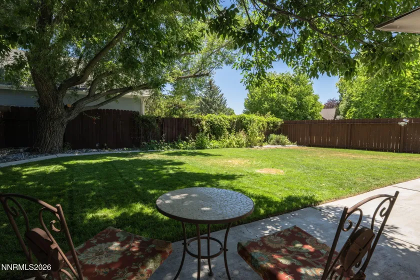 1721 Lantana, Minden, Nevada 89423, 4 Bedrooms Bedrooms, ,3 BathroomsBathrooms,Residential,Residential,Lantana,0,260008305