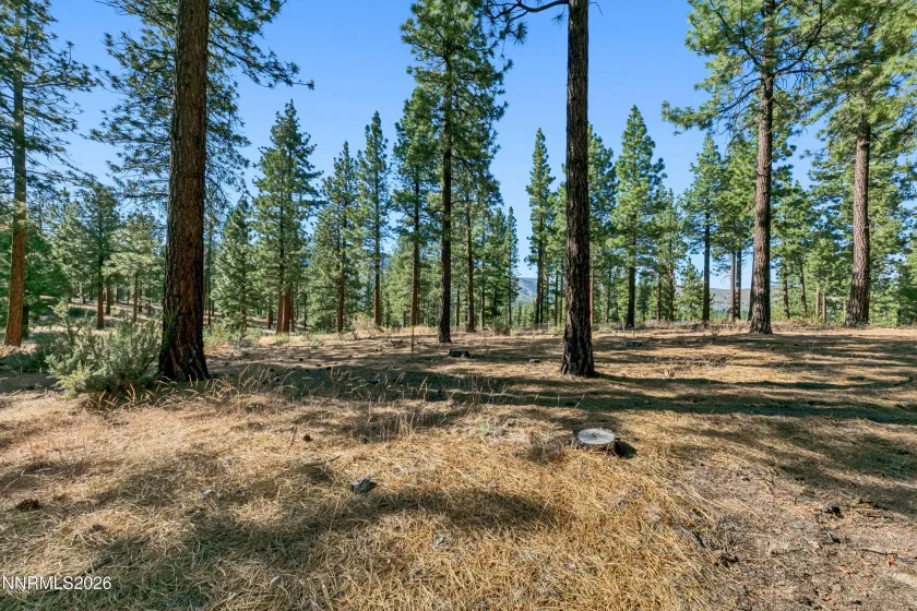 238 Redding, Carson City, Nevada 89705, ,Land,Residential,Redding,0,260008313