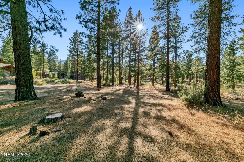 238 Redding, Carson City, Nevada 89705, ,Land,Residential,Redding,0,260008313