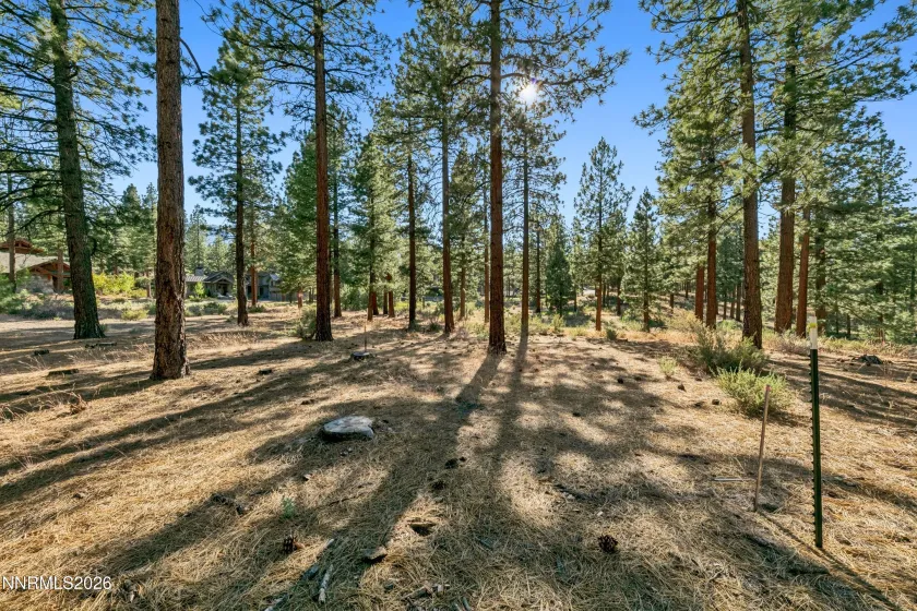 238 Redding, Carson City, Nevada 89705, ,Land,Residential,Redding,0,260008313
