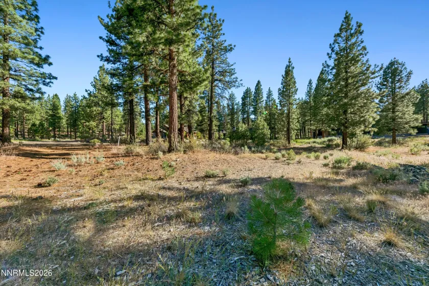 238 Redding, Carson City, Nevada 89705, ,Land,Residential,Redding,0,260008313