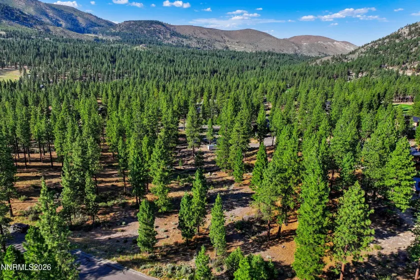238 Redding, Carson City, Nevada 89705, ,Land,Residential,Redding,0,260008313