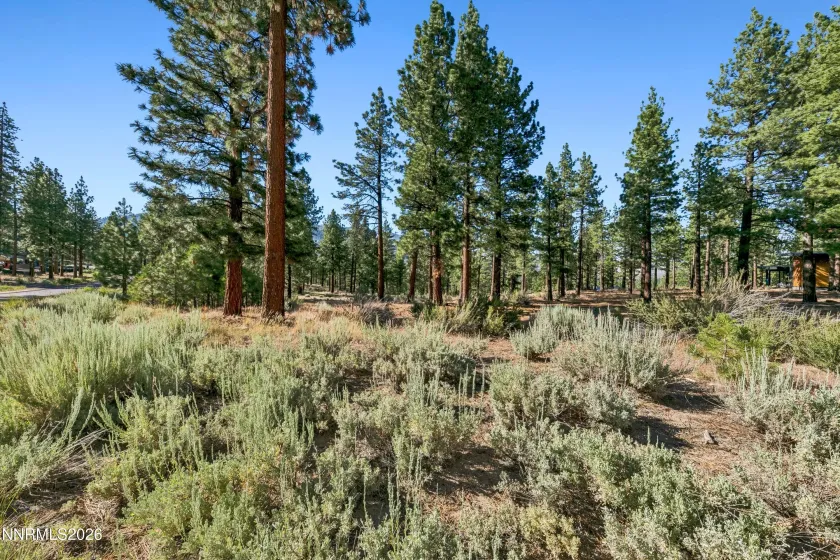 238 Redding, Carson City, Nevada 89705, ,Land,Residential,Redding,0,260008313