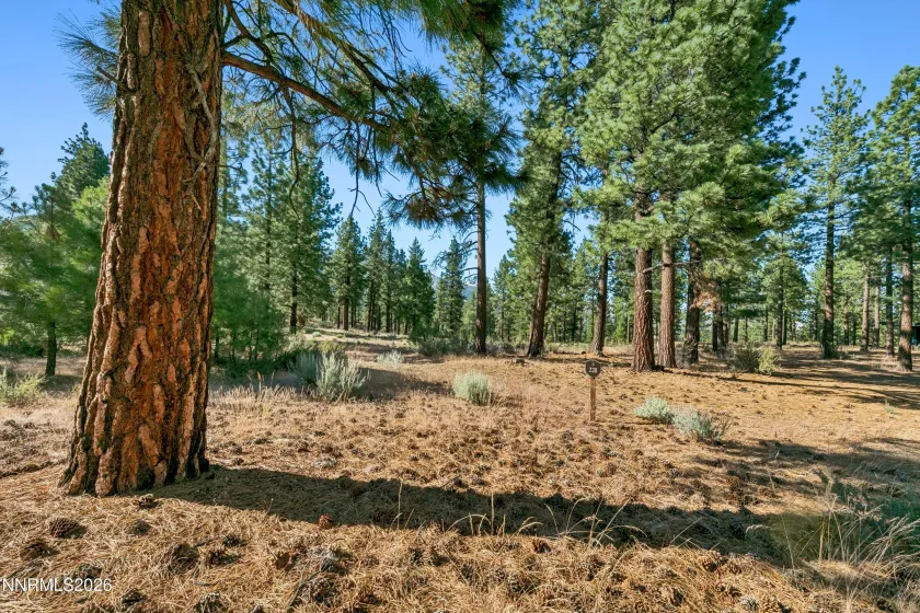 238 Redding, Carson City, Nevada 89705, ,Land,Residential,Redding,0,260008313