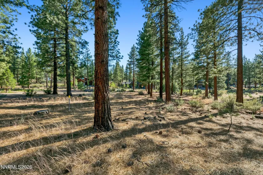 238 Redding, Carson City, Nevada 89705, ,Land,Residential,Redding,0,260008313