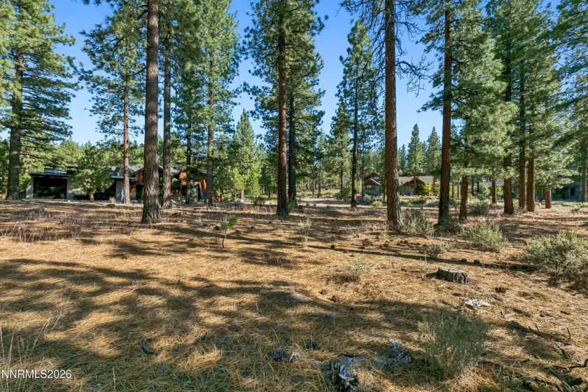 238 Redding, Carson City, Nevada 89705, ,Land,Residential,Redding,0,260008313