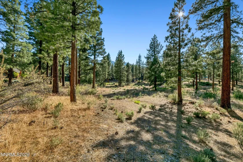 238 Redding, Carson City, Nevada 89705, ,Land,Residential,Redding,0,260008313