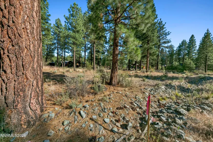238 Redding, Carson City, Nevada 89705, ,Land,Residential,Redding,0,260008313