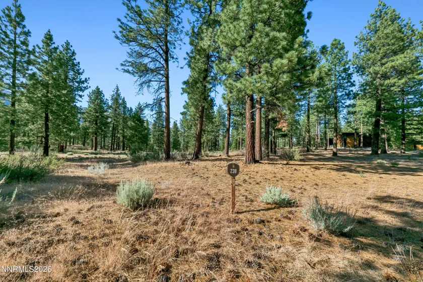 238 Redding, Carson City, Nevada 89705, ,Land,Residential,Redding,0,260008313