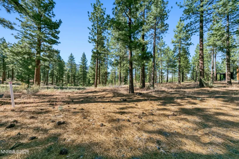 238 Redding, Carson City, Nevada 89705, ,Land,Residential,Redding,0,260008313