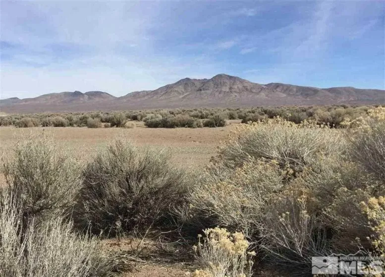 78 Desert View, Smith Valley, Nevada 89430, ,Land,Residential,Desert View,0,260008332