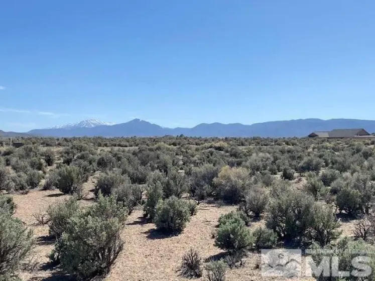 78 Desert View, Smith Valley, Nevada 89430, ,Land,Residential,Desert View,0,260008332