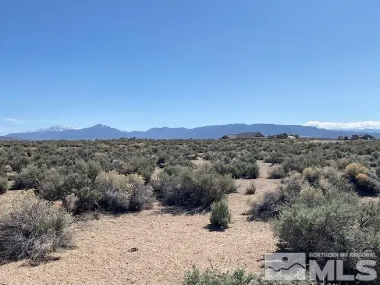 78 Desert View, Smith Valley, Nevada 89430, ,Land,Residential,Desert View,0,260008332
