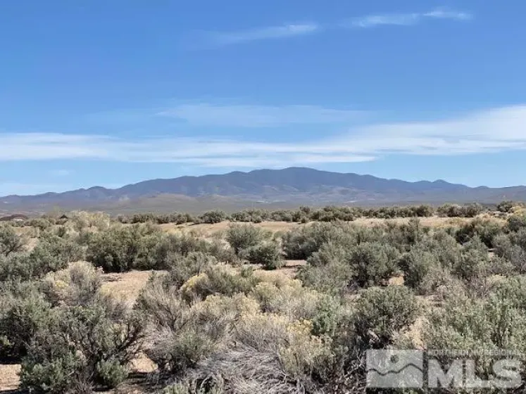 78 Desert View, Smith Valley, Nevada 89430, ,Land,Residential,Desert View,0,260008332