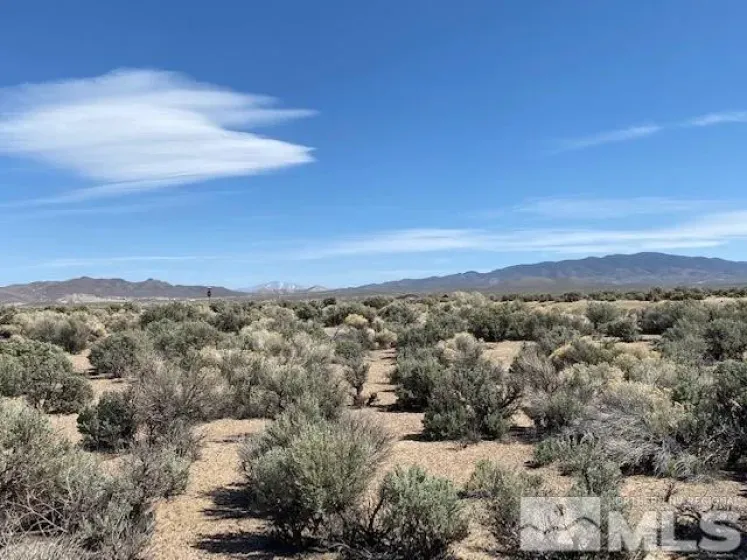 78 Desert View, Smith Valley, Nevada 89430, ,Land,Residential,Desert View,0,260008332