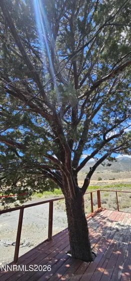 202 Kingston, Kingston, Nevada 89310, 3 Bedrooms Bedrooms, ,1 BathroomBathrooms,Residential,Residential,Kingston,0,260008355