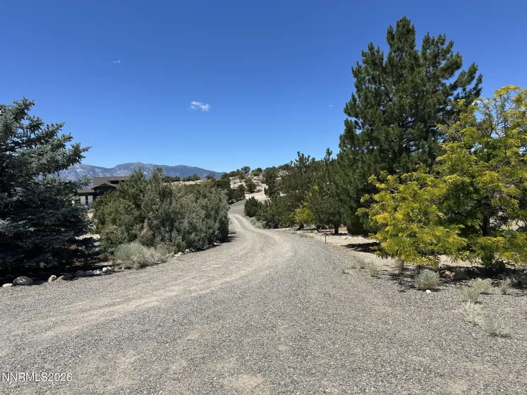 1515 Patrick, Gardnerville, Nevada 89410, 3 Bedrooms Bedrooms, ,3 BathroomsBathrooms,Residential,Residential,Patrick,0,260008344