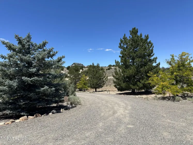 1515 Patrick, Gardnerville, Nevada 89410, 3 Bedrooms Bedrooms, ,3 BathroomsBathrooms,Residential,Residential,Patrick,0,260008344