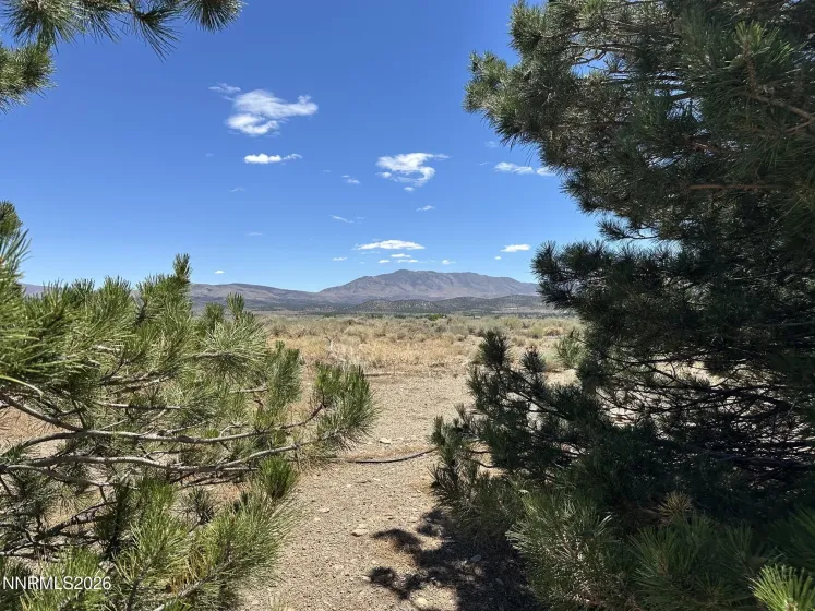 1515 Patrick, Gardnerville, Nevada 89410, 3 Bedrooms Bedrooms, ,3 BathroomsBathrooms,Residential,Residential,Patrick,0,260008344