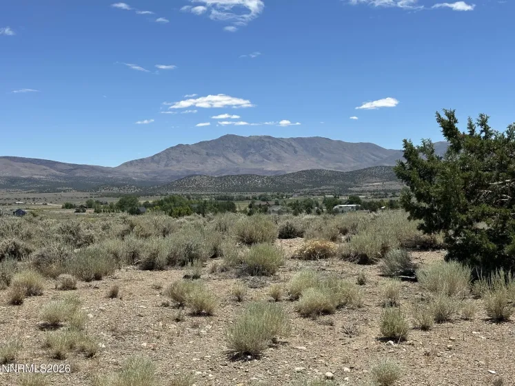 1515 Patrick, Gardnerville, Nevada 89410, 3 Bedrooms Bedrooms, ,3 BathroomsBathrooms,Residential,Residential,Patrick,0,260008344