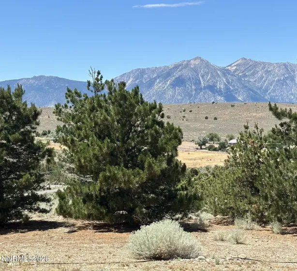 1515 Patrick, Gardnerville, Nevada 89410, 3 Bedrooms Bedrooms, ,3 BathroomsBathrooms,Residential,Residential,Patrick,0,260008344