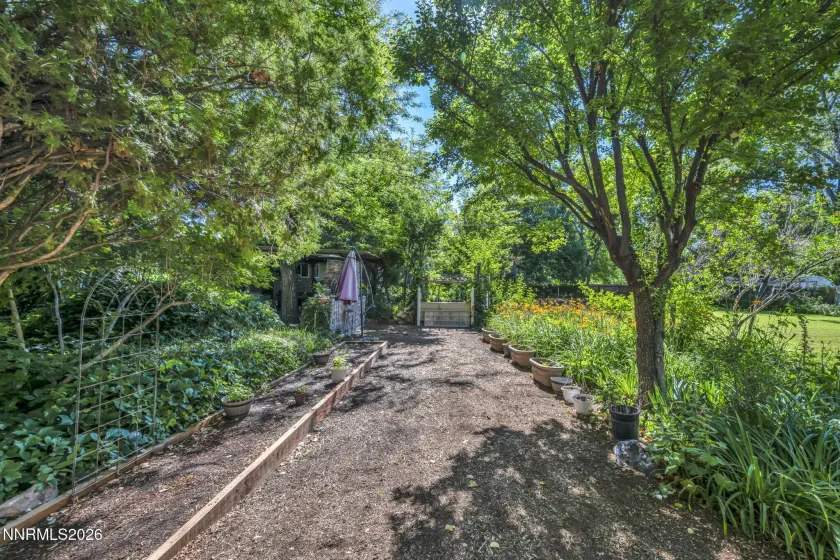 98 Tolas, Fallon, Nevada 89406, 2 Bedrooms Bedrooms, ,1 BathroomBathrooms,Residential,Residential,Tolas,0,260008362