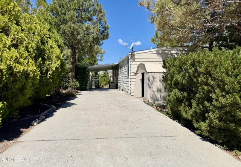 Driveway