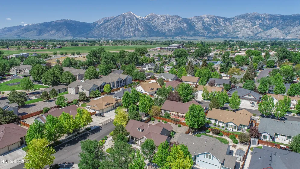 1362 Branden, Gardnerville, Nevada 89410, 3 Bedrooms Bedrooms, ,2 BathroomsBathrooms,Residential,Residential,Branden,0,260008401