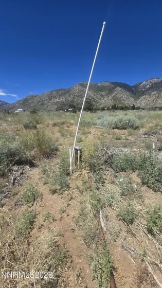 Well head marked with white rod