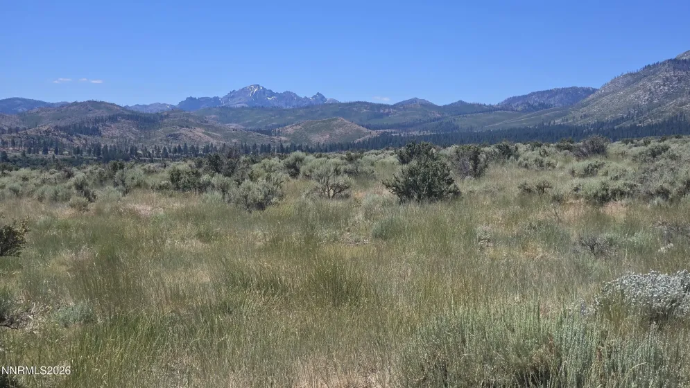 Gorgeous mountain views to design your home around