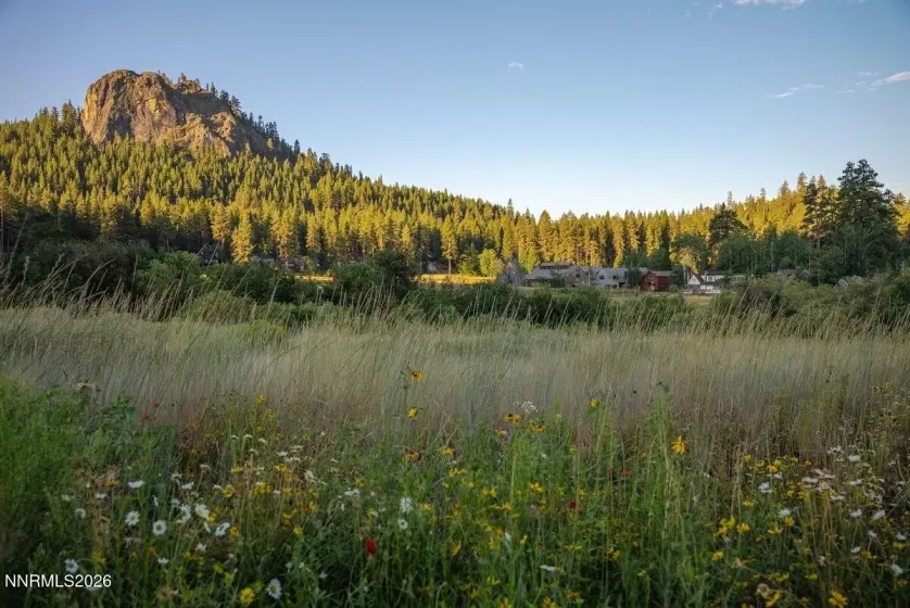 777 Rodeo, Glenbrook, Nevada 89413, 19 Bedrooms Bedrooms, ,20 BathroomsBathrooms,Residential,Residential,Rodeo,0,260008425