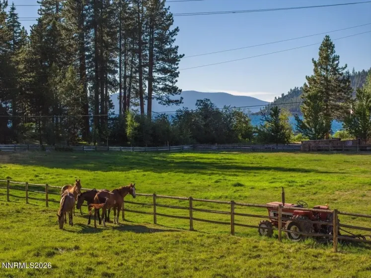 777 Rodeo, Glenbrook, Nevada 89413, 19 Bedrooms Bedrooms, ,20 BathroomsBathrooms,Residential,Residential,Rodeo,0,260008425