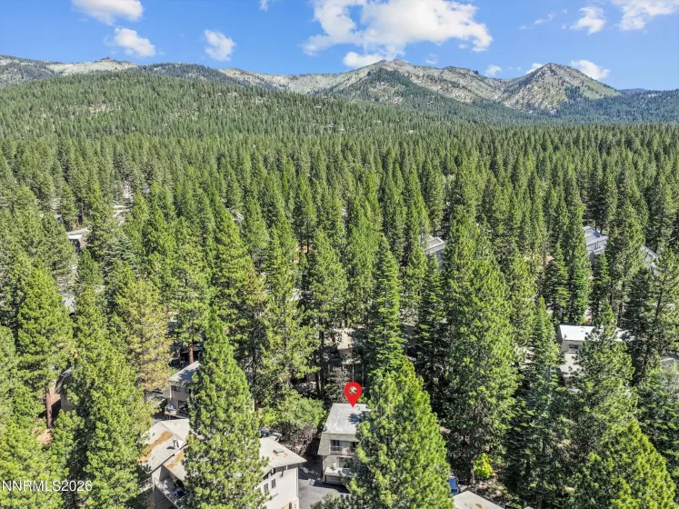 820 Oriole, Incline Village, Nevada 89451, 4 Bedrooms Bedrooms, ,4 BathroomsBathrooms,Residential,Residential,Oriole,0,260008452