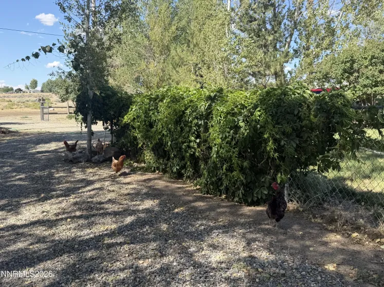 4690 Brayton, Winnemucca, Nevada 89445, 4 Bedrooms Bedrooms, ,2 BathroomsBathrooms,Residential,Residential,Brayton,0,260008465