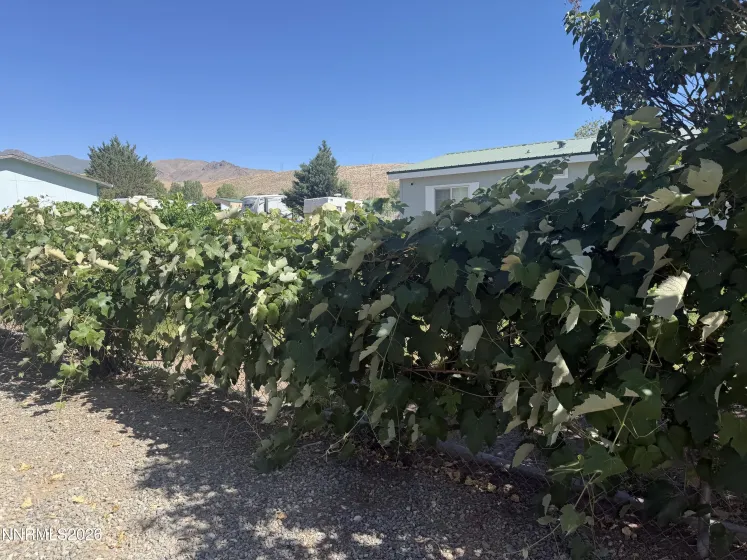 4690 Brayton, Winnemucca, Nevada 89445, 4 Bedrooms Bedrooms, ,2 BathroomsBathrooms,Residential,Residential,Brayton,0,260008465